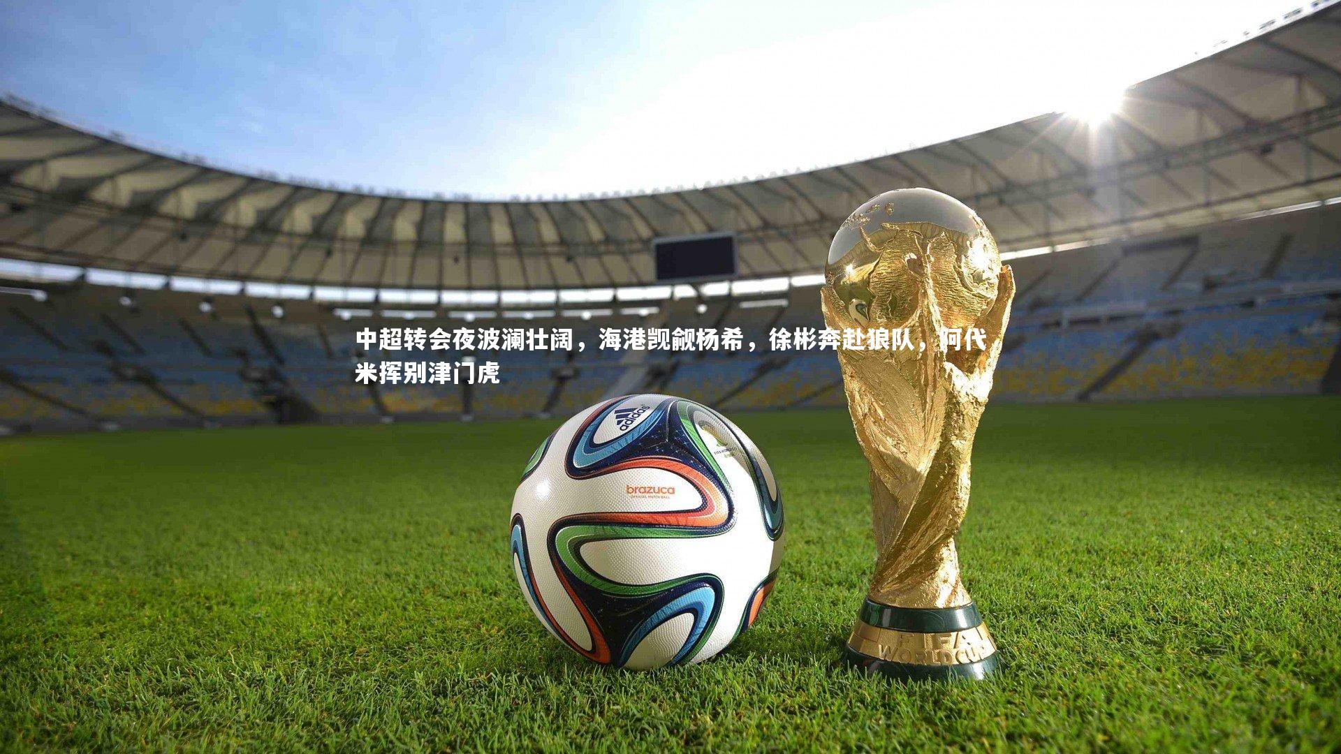 中超转会夜波澜壮阔，海港觊觎杨希，徐彬奔赴狼队，阿代米挥别津门虎